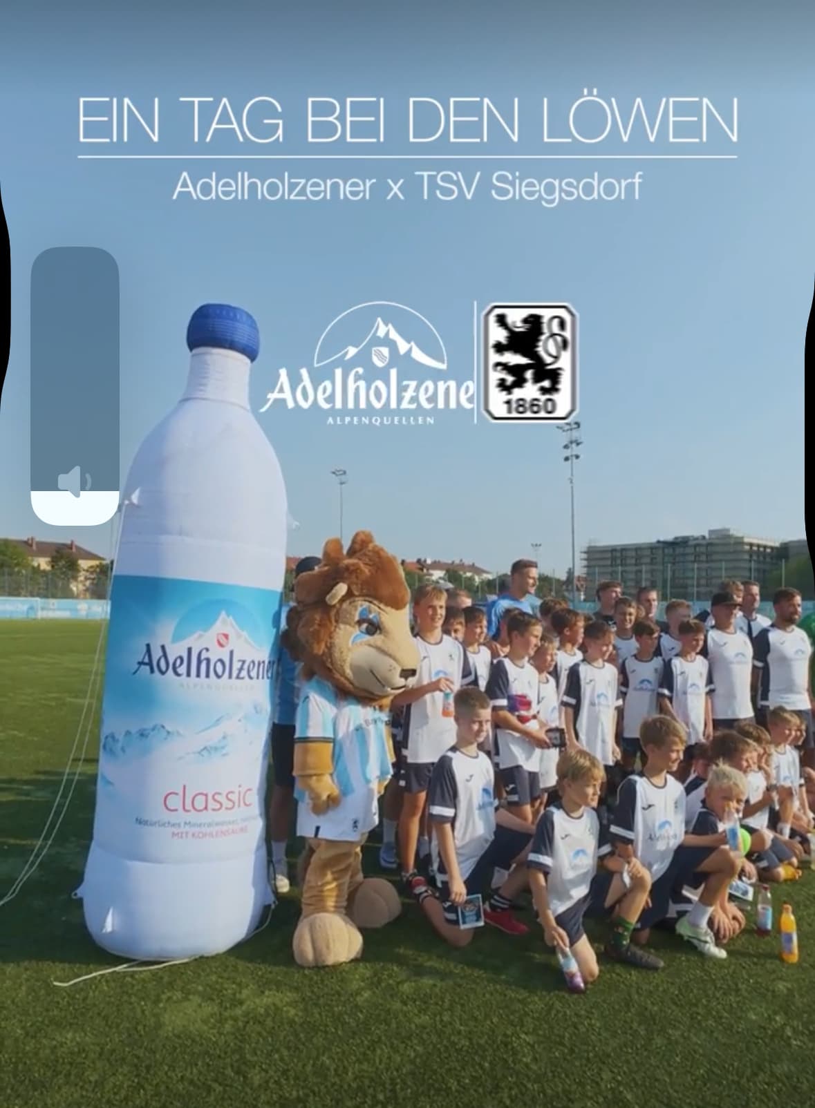 Ein Tag bei den Löwen