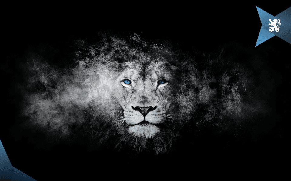 Löwen erhalten die Lizenz für die 3. Liga.