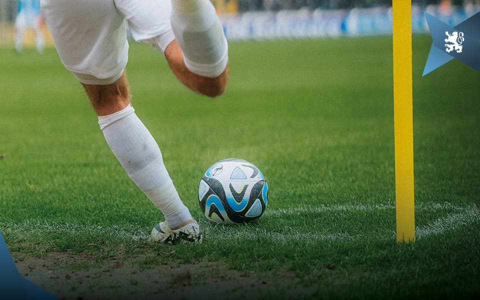 Löwen-Umfrage zum Social-Media-Auftritt des TSV 1860.