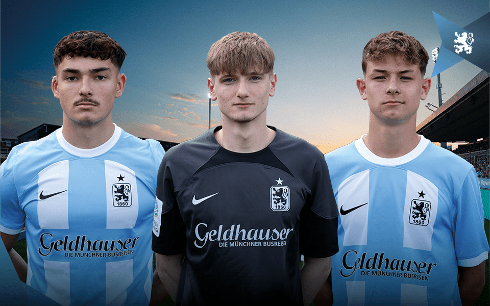 Drei Junglöwen für Giannikis.