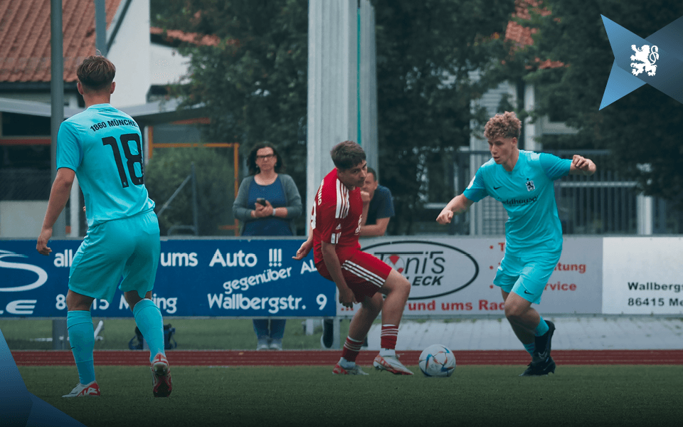 Vorrundengruppen für neue DFB-Nachwuchsligen stehen fest.