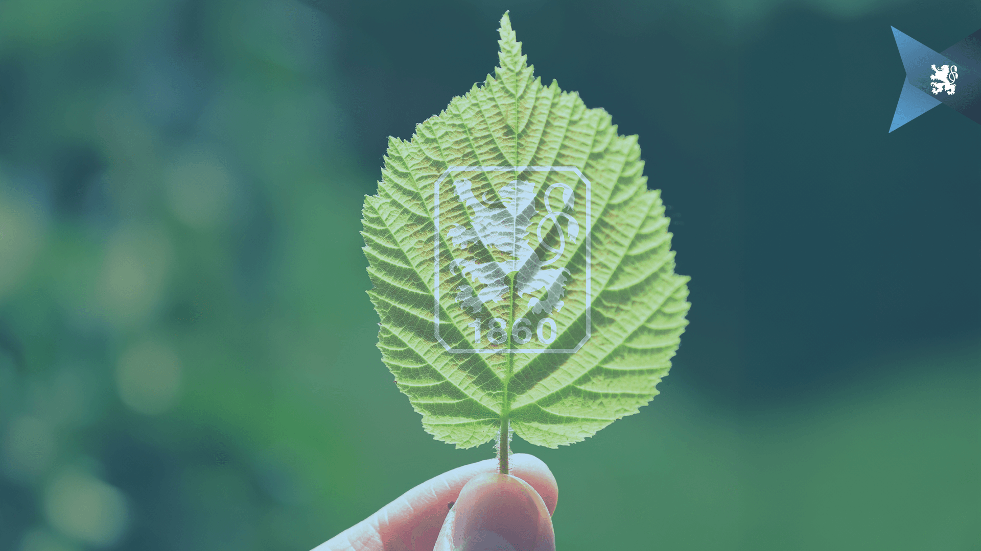 Gemeinsam Verantwortung übernehmen: Die Löwen starten in die Nachhaltigkeitswoche.