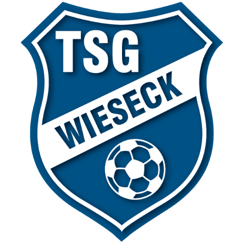 TSG Wieseck U19