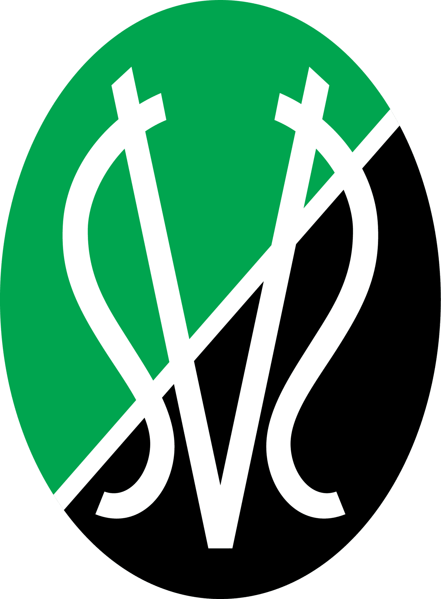 SV Ried
