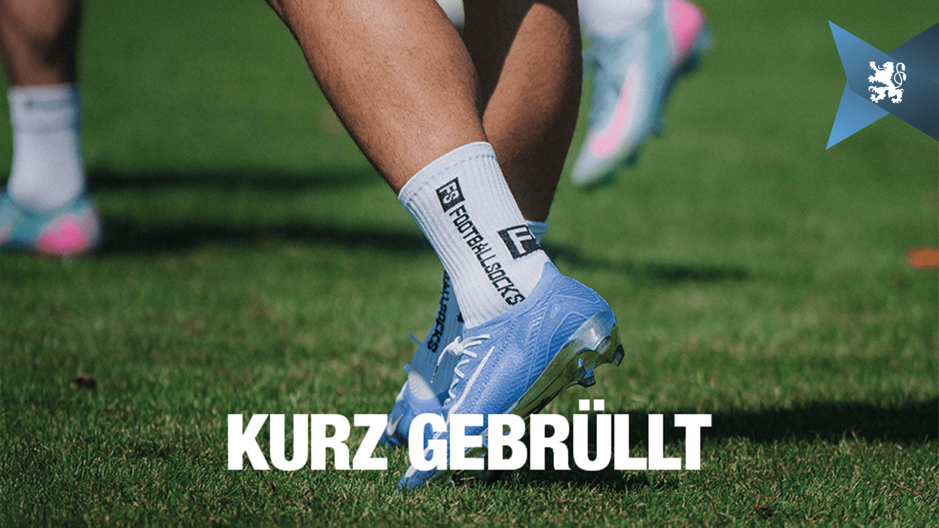 Kurz gebrüllt - Termine, Trainingszeiten und Informationen.