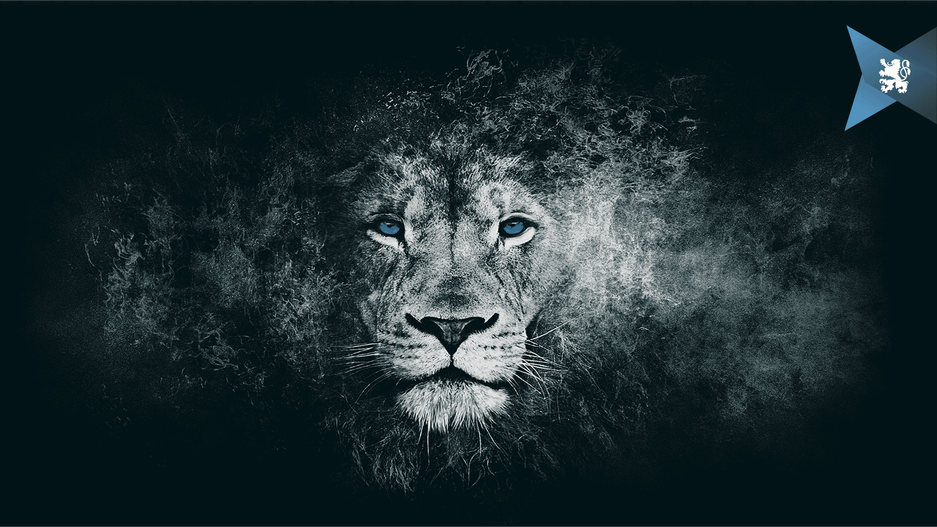 Klarstellung zu Abmahnungen durch die TSV 1860 Merchandising GmbH.