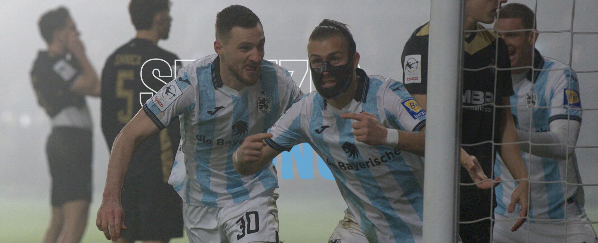 Löwen mit Durchblick im Nebel.